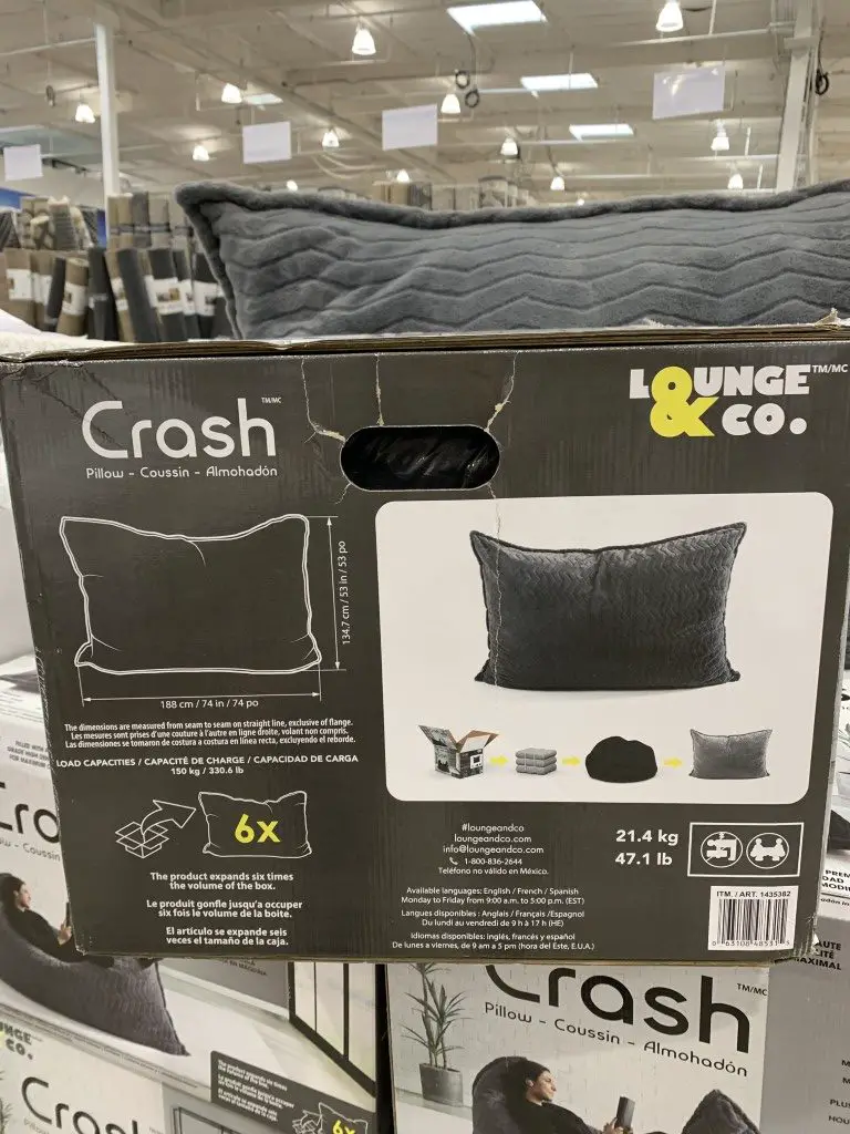 Costco Crash Pillow, Lounge & Company Floor Pillow