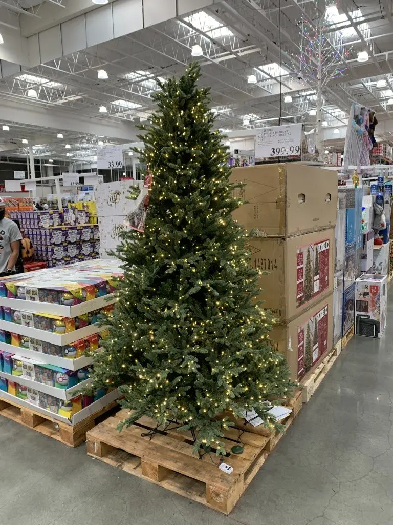 Does costco sell live xmas trees