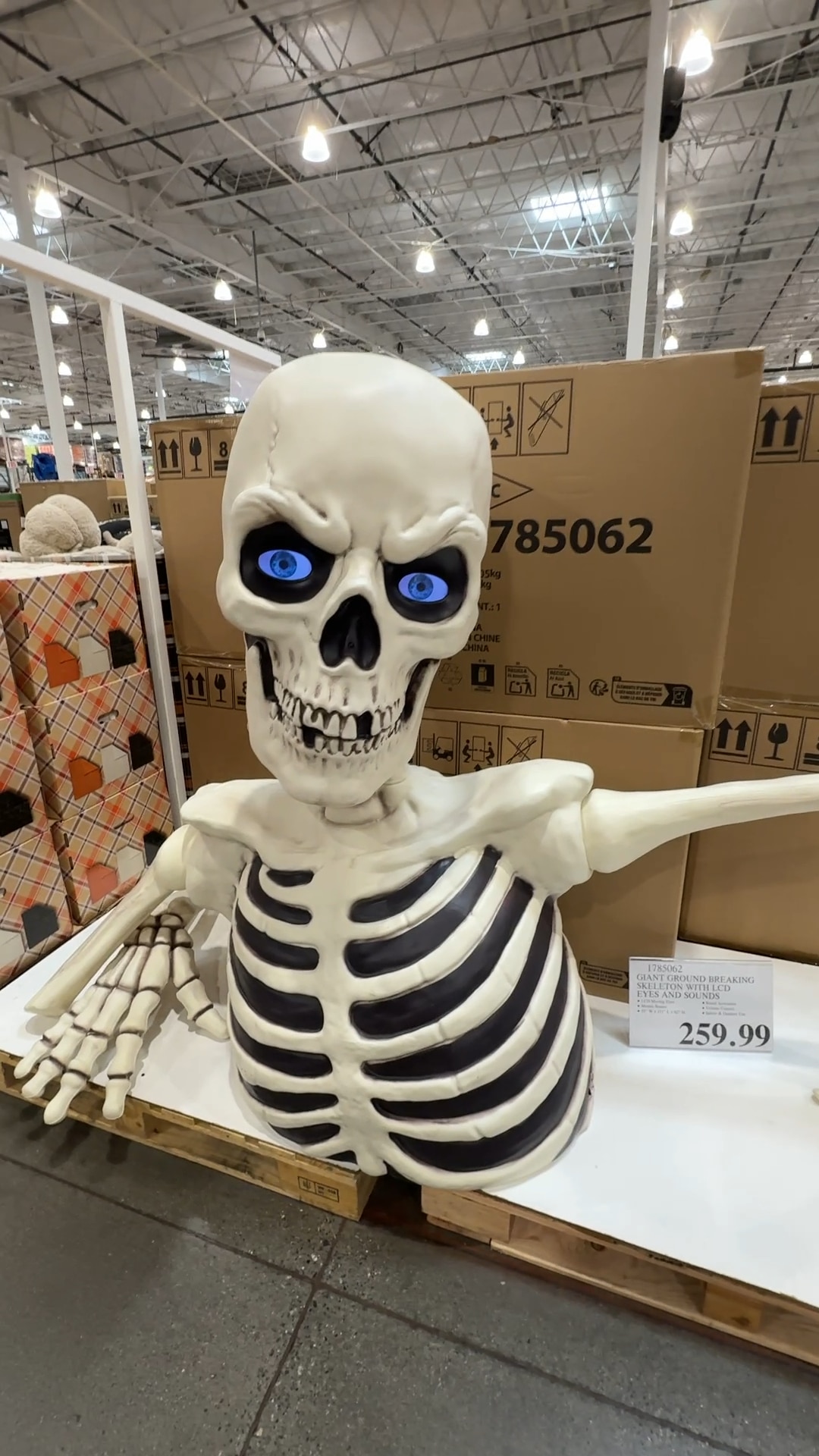 Sceleton Home Costco Ground Breaking Skeleton 2026: Price, Specs & Storage